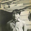 동해-단속-48 이미지