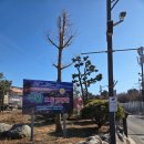 추암캠핑장 | 동해) 바다 앞에서 캠핑할수있는 동해 오토 캠핑장 A4 자리 후기(feat. 2박3일 캠핑음식) "추암오토캠핑장"