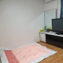 신보문장 이미지