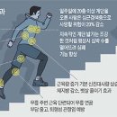 계단 오르기 운동방법과 효과 이미지