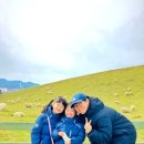광만목장 네이버블로그