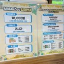 신화역사로 | 제주 실내가볼만한곳 모모쥬동물원 제주신화월드점 방문후기