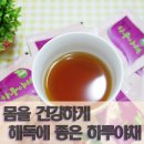 참좋은과일;야채
