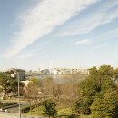 야호게임장 이미지