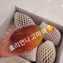 망고노래클럽