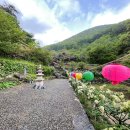 영천 봉림사 영산회상도 및 복장유물 이미지