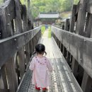 동의보감민박 이미지