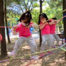 새들유치원 이미지