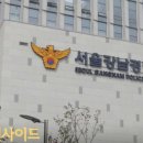 더디씨 이미지