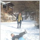 동심 Daum카페