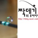스파이더플라이 이미지