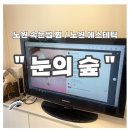 눈의숲