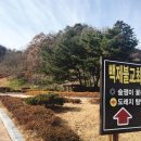 법성포 숲쟁이공원 이미지