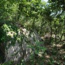 강촌 삼거리 이미지