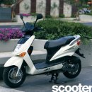 진짜 장난감을 원한다! 이미지