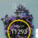 [단기강좌]중년 건강요가A반 | 수면제 단약과 금단증상에 관한 10가지 질문과 답 총정리