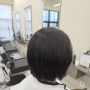 컷트의집 | 양주 옥정 미용실 첫방문 후기 컷트 염색 잘하는 안스스타일