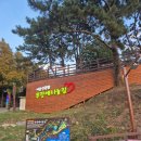 서면중앙시장(전통시장- | 통영 가볼만한 곳 : 이순신공원, 통영중앙전통시장, 뚱보할매김밥집 방문 후기