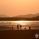 학암포자동차야영장 이미지