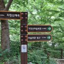 삼보쉼터 이미지