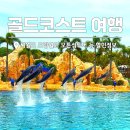 (주)드림투어홀딩스 | 호주 골드코스트 여행 씨월드 무비월드 드림월드 모튼섬투어 할인
