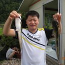 내성천메기매운탕 Daum카페