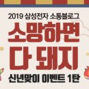 소통돼지