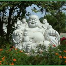 달마공원 Daum카페