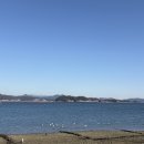 찻집사랑으로