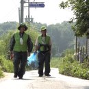 백로서식지 이미지