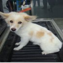 육림축산 이미지