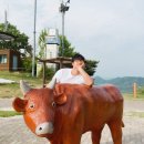 여러분은 제 꿈의 원동력입니다. 오늘도 꿈꾸게 해 주셔서 고맙습니다. ㅈㅇ SG워너비 김진호 이미지