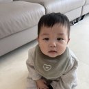 베베아르 | [공지] 광주 베베아르 뱀띠아들 돌사진 촬영 후기-낯가림 시작, 울보 사진