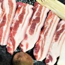중앙돼지 이미지