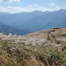 중산초교 이미지