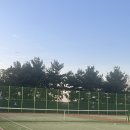 (1코트) 금광테니스장 | 광명시립테니스장 테니스코트 야외 인조잔디 예약방법 및 후기