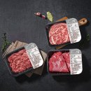 양지2호 이미지