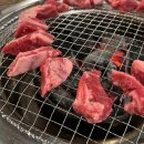 오늘더빛나개 이미지