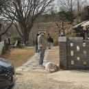 왈왈키친 | [서울근교/남양주] 천연잔디 대형 애견 운동장 ‘바닐라브릭’ 반려견 동반 베이커리 카페