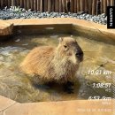 쌍봉시장 | 25.10.20 | 남송이오름 달리기와 신화테마파크