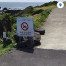 신천삼거리 | W13. 제주 셀프 웨딩스냅 1탄｜촬영 장소 추천 + 내돈내산 [모반디] 드레스 솔직 리뷰