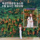 뚝섬한강공원 능소화 명소 실시간 개화 상황, 성수역에서 걸어가는 꿀팁 총정리