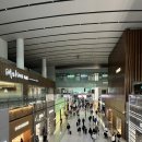 484 | 탑승 후기] 인천↔푸꾸옥 가는 대한항공 KE483, KE484 A330-300 기종 탑승 후기(feat.마티나 골드 라운지)