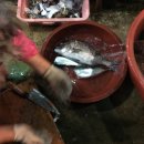 웅이포장 이미지