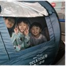 블랙 타이거 태권도장 이미지