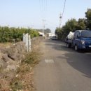 위미2리 이미지