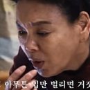 아르결 이미지