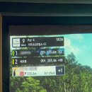 버디스크린연습장 이미지