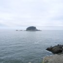 몰운대꼼장어 이미지