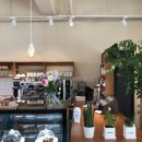놀커피(Knoll coffee)